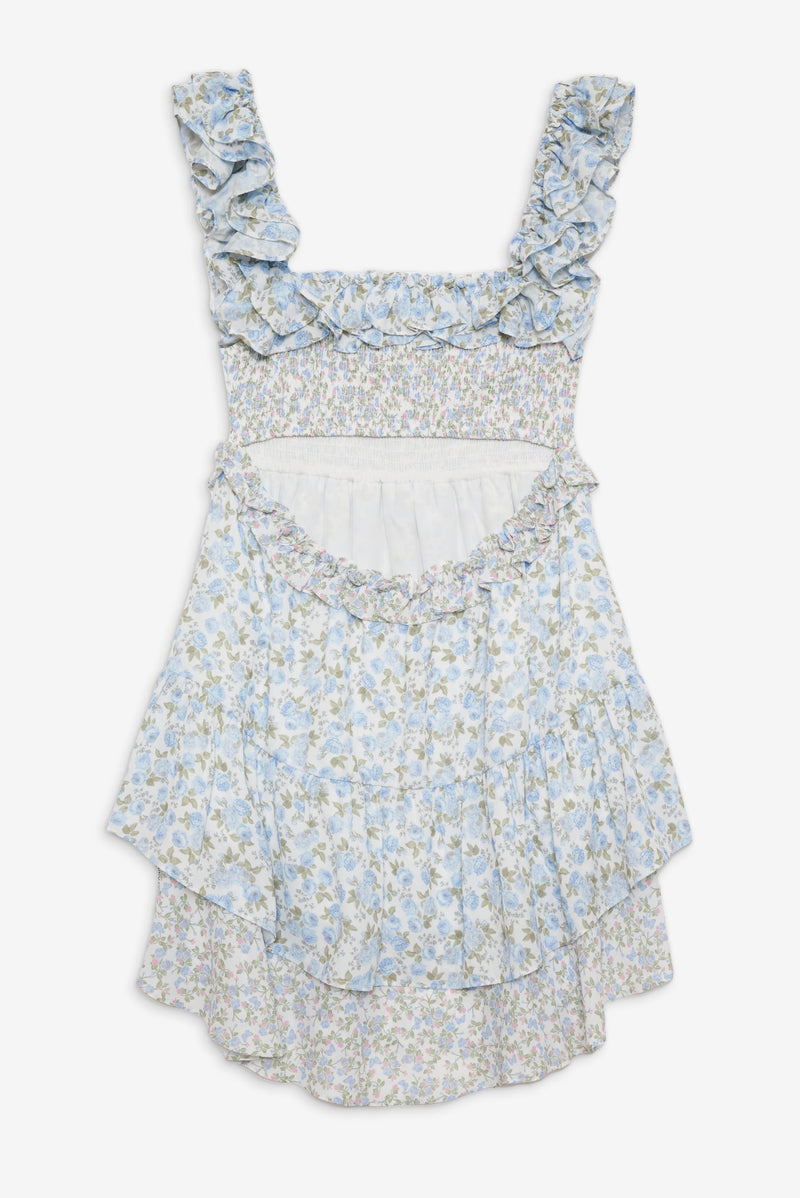 Riley Mini Dress- Blue