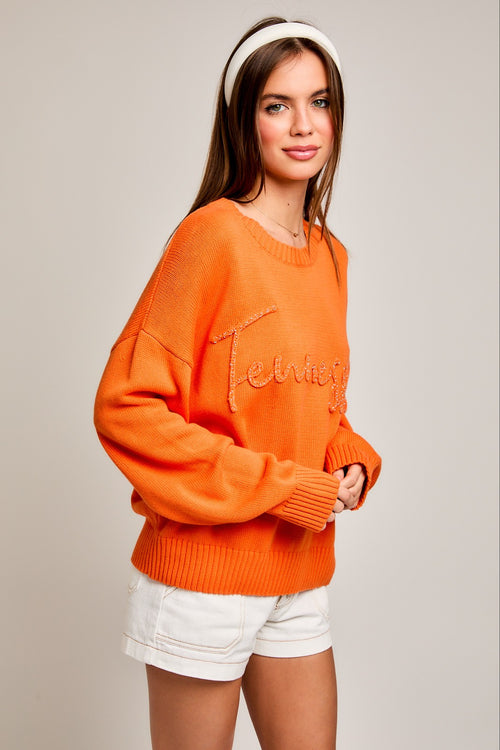 TN Sparkly Embroidered Sweater - Orange