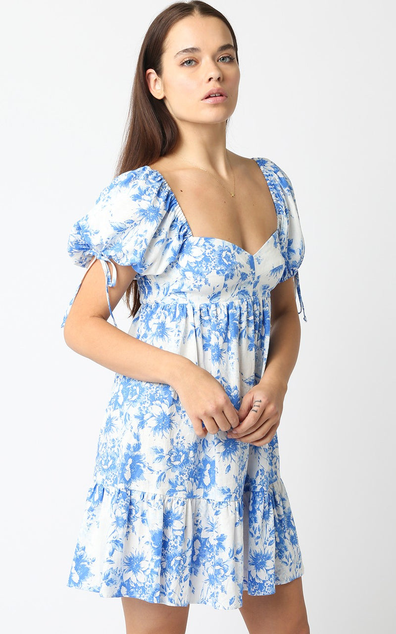 In Full Bloom Dress- White Blue