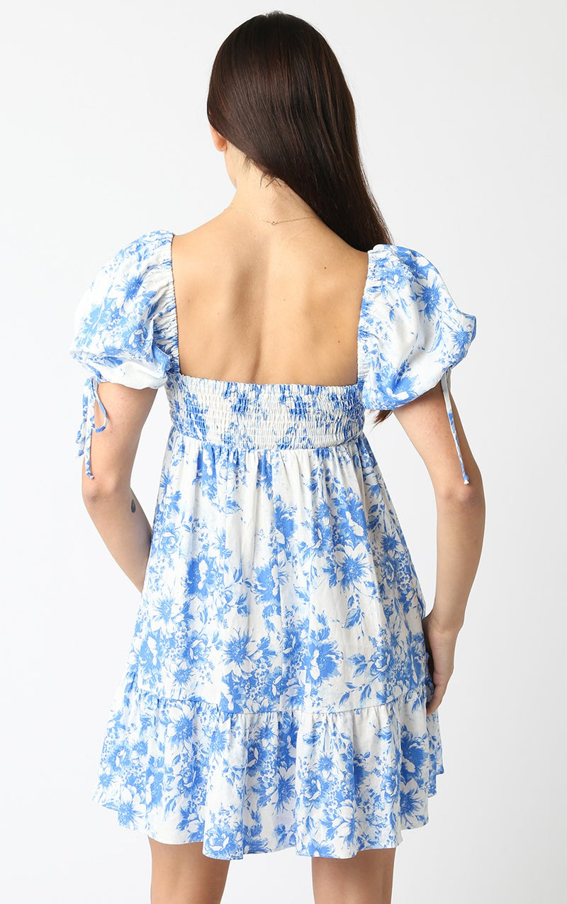 In Full Bloom Dress- White Blue