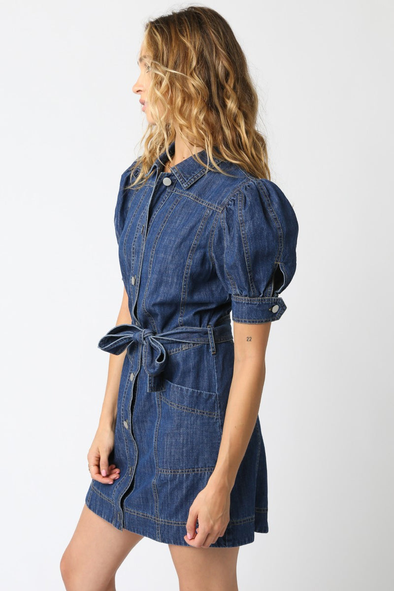 Live In The Moment Dress- Denim