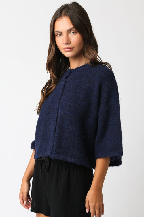 Fall Favorite Top- Blue
