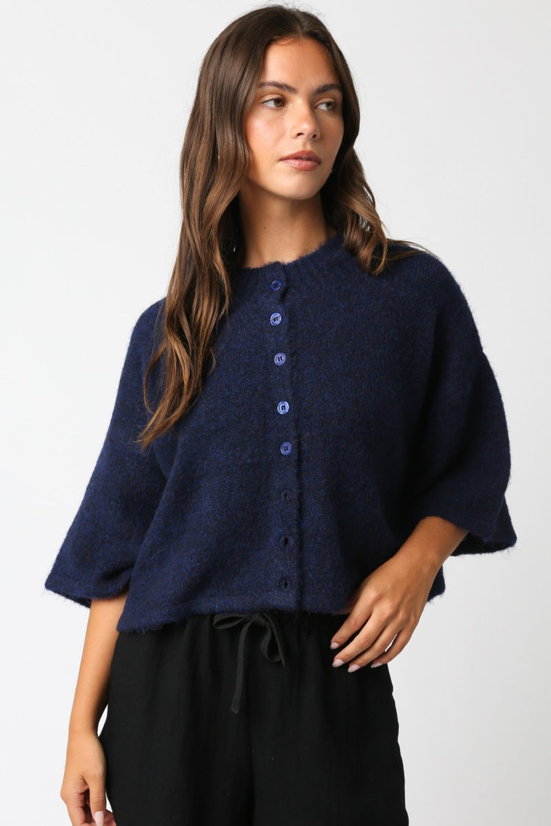 Fall Favorite Top- Blue