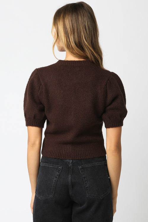 Autumn Glow Top- Dark Brown