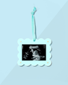 Seafoam Mini Frame Ornament